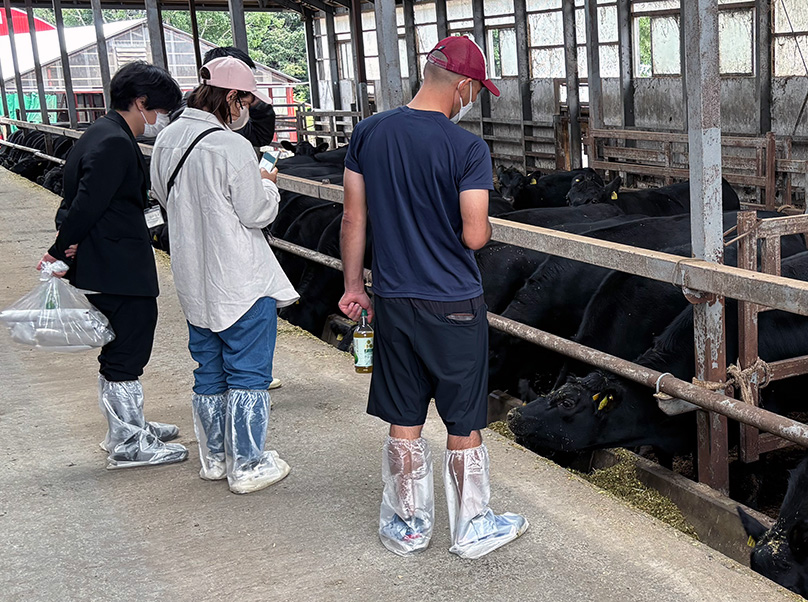 産地研修